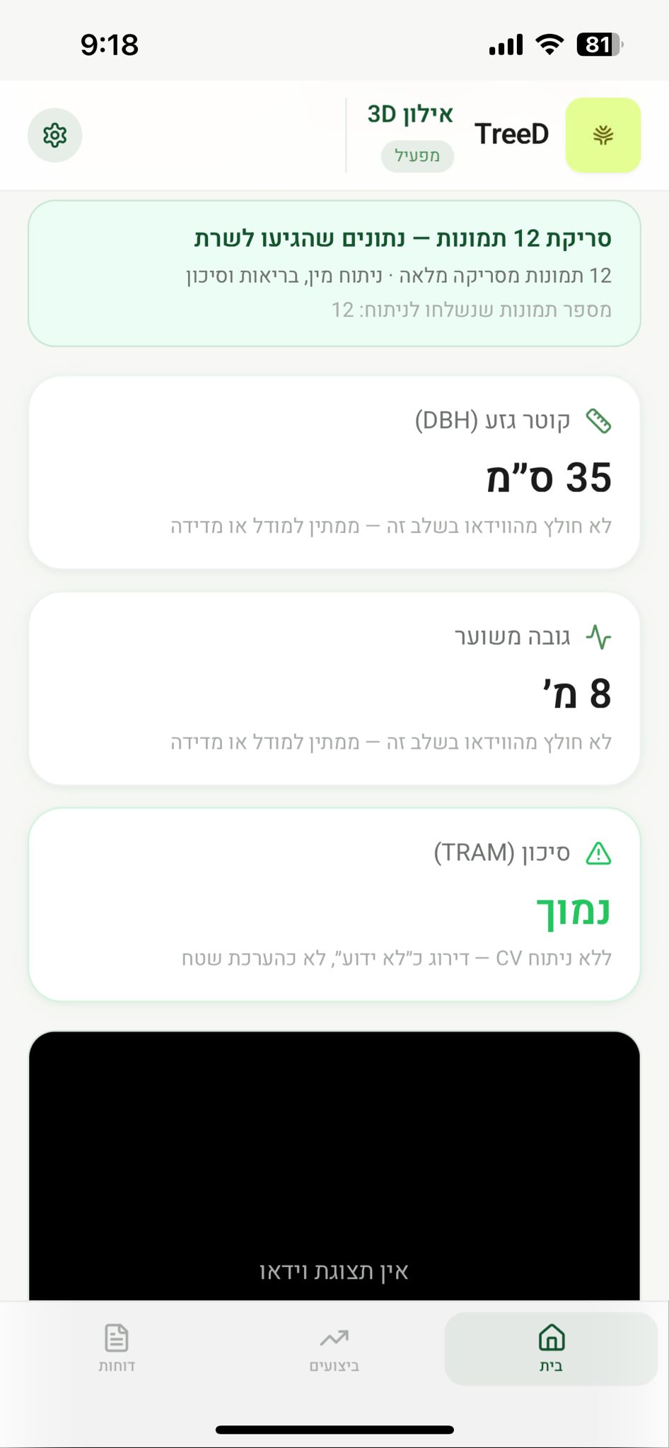 ניתוח מיידי לעץ